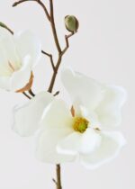Detail view of full stem length from the Cream Artificial Magnolia Flower Stem - 19