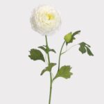 Cream White Artificial Ranunculus Flower - 19 inch, faux flower stems