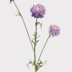 Lavender Artificial Scabiosa Wildflowers - 27.5 inch, faux flower stems