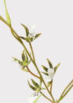 Alternate angle of the Tall Artificial Blooming Brassia Orchid Brassia Orchid Plant showing leaves along