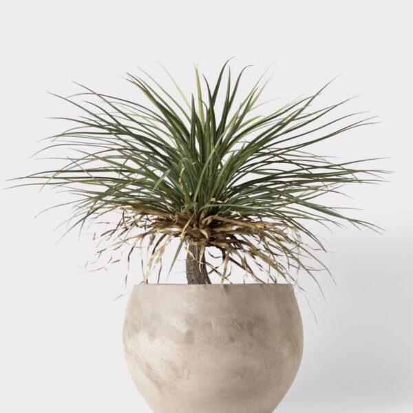 Close-up of leaf foliage texture on this Faux Potted Palm Tree Plant Cement Planter