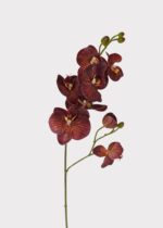Autumn Brown Real Touch Fake Phalaenopsis Orchid - 31 inch, faux flower stems