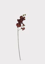 Detail view of full stem length from the Autumn Brown Real Touch Fake Phalaenopsis Orchid