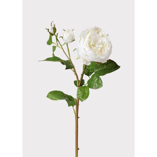21" Real Touch Rose Stem - Pink