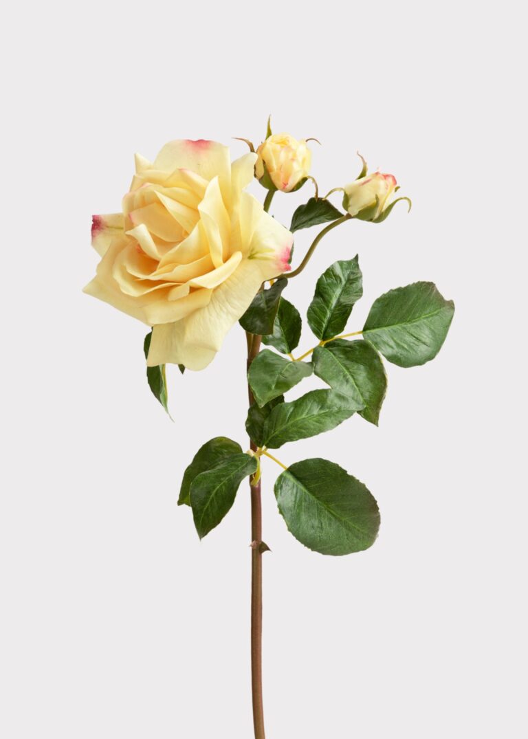 Artificial Real Touch Juliet English Rose in Yellow - 22 inch, faux flower stems