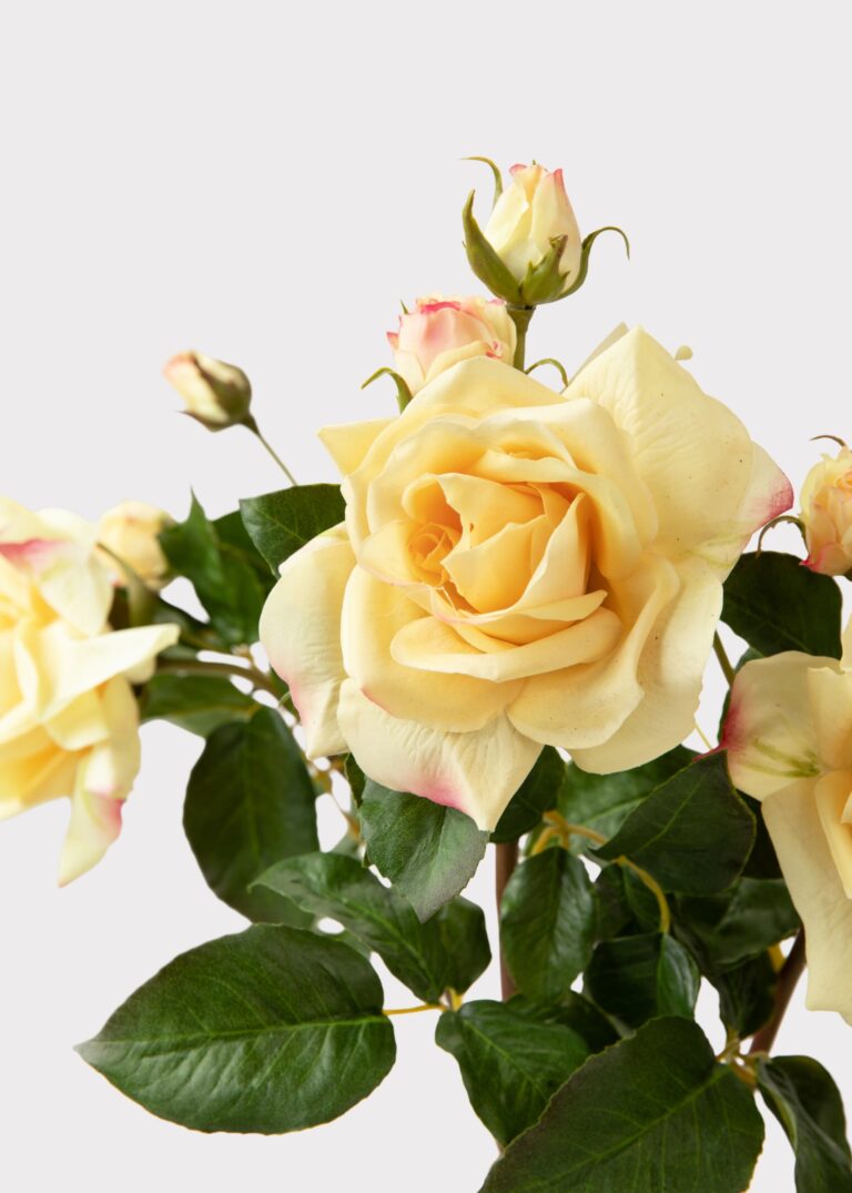 Close-up of bloom tips on this Artificial Real Touch Juliet English Rose in Yellow