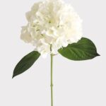Fake Flowers Real Touch Hydrangea Stem in Talc White - 18 inch
