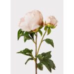 27" Real Touch Peony Stem
