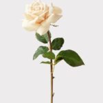 Beige Real Touch Duchess Rose Fake Flower - 20 inch, faux flower stems