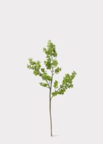 Alternate angle of the Artificial Real Touch Eucalyptus Leaf Branch - 27 showing full plant