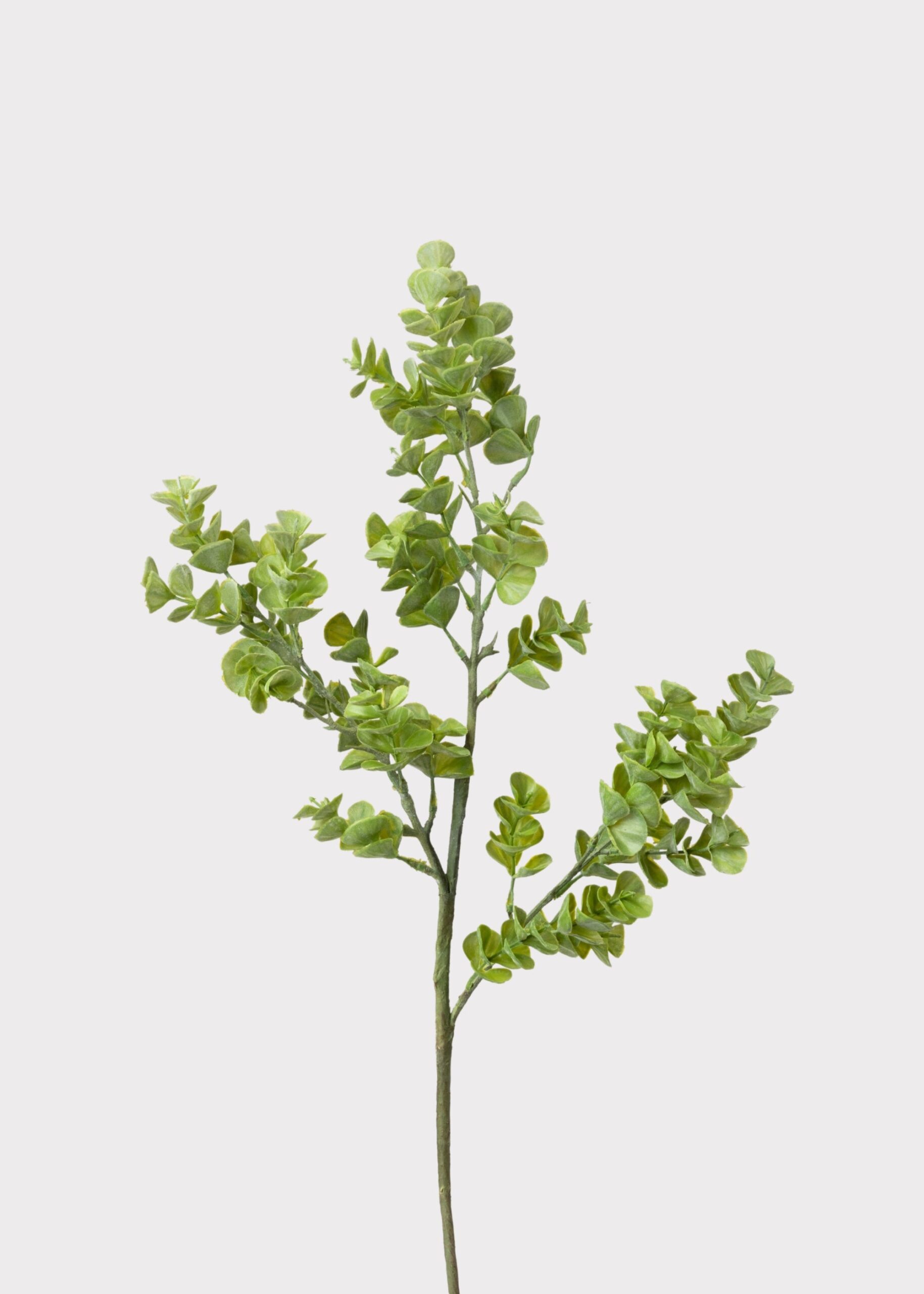 REG-MTF23822-GRN_4.jpg Artificial Real Touch Eucalyptus Leaf Branch - 27 inch, artificial plant