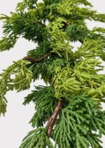 Close-up of greenery along the garland on this Real Touch Fake Cedar Christmas Christmas Greenery