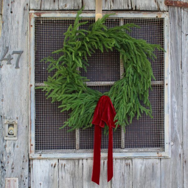 Norfolk Collection - Real Touch Norfolk Pine Front Door Holiday Winter Wreath - 2 Size