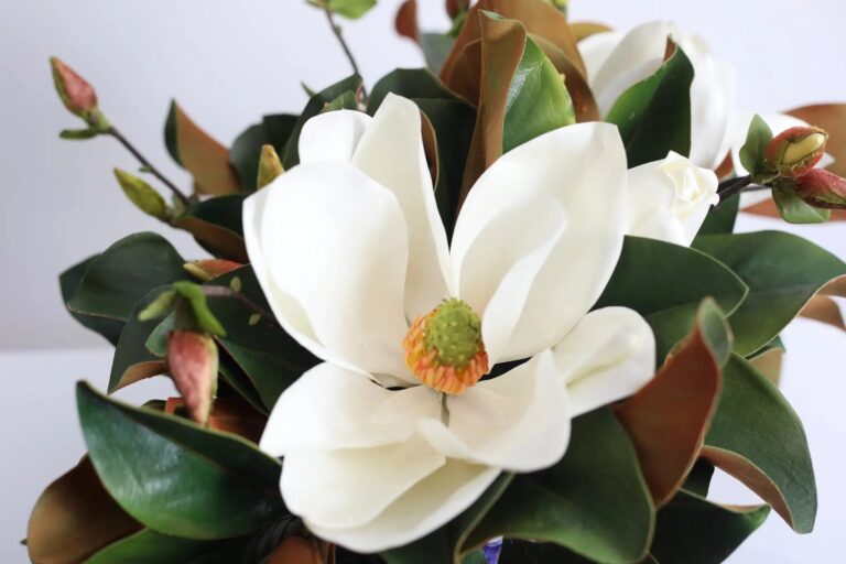 Close-up of bloom cluster detail on this Real Touch White Magnolia Floral Magnolia Floral Arrangement