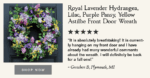 Second angle of the Royal Lavender Hydrangea, Lilac, Purple Spring Door Wreath focusing on blooms