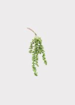 Alternate angle of the Artificial String of Pearls Hanging Succulent - 13 showing full plant