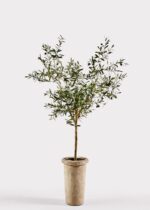 Faux Olive Tree Branch Potted Plant in Cement Pot - 72 inch
