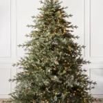 Sugarlands Spruce Wide