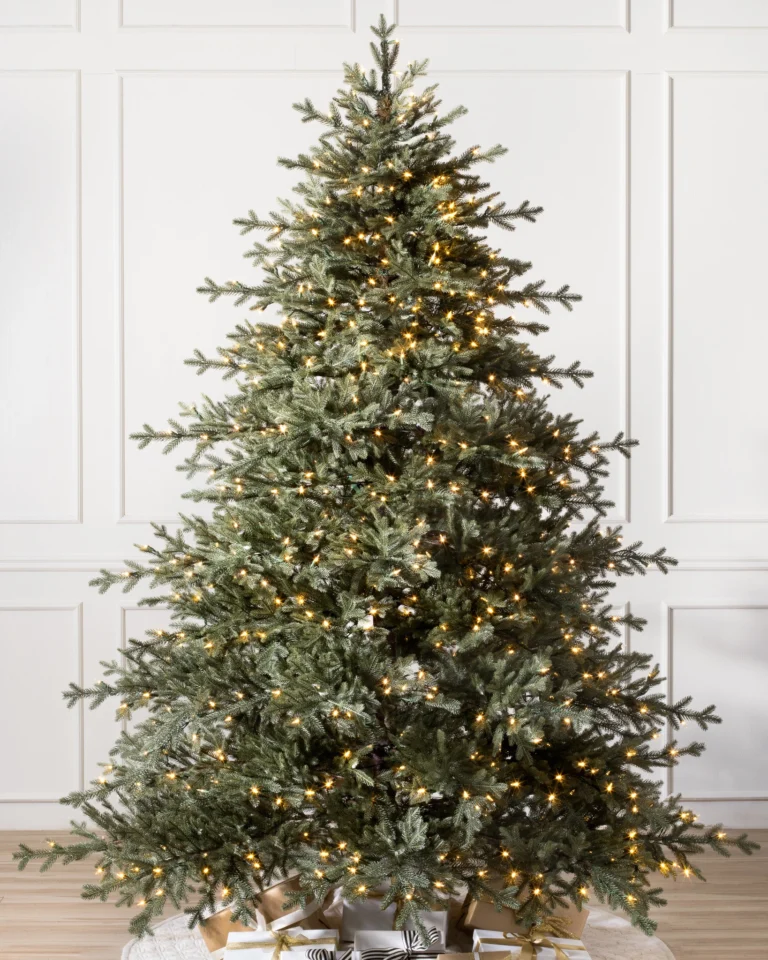 Sugarlands Spruce Wide