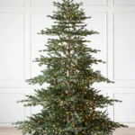 Aspen Silver Fir