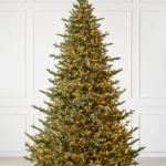 Stratton Valley Spruce