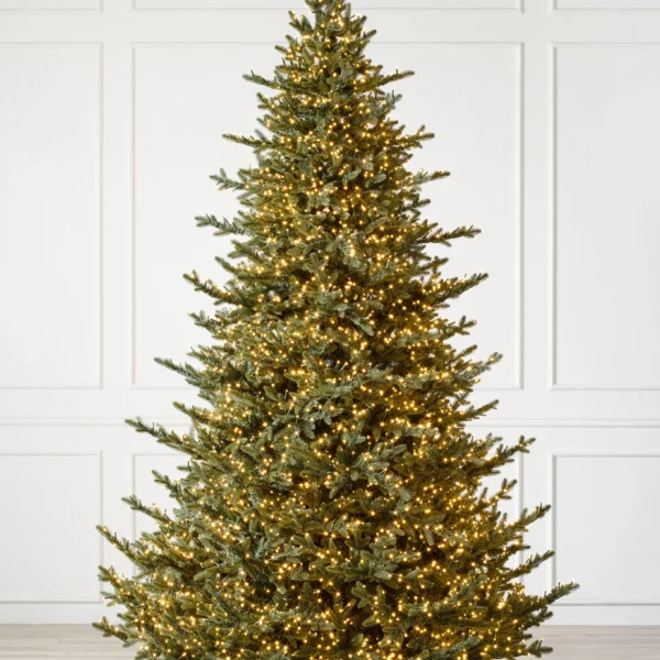 Stratton Valley Spruce