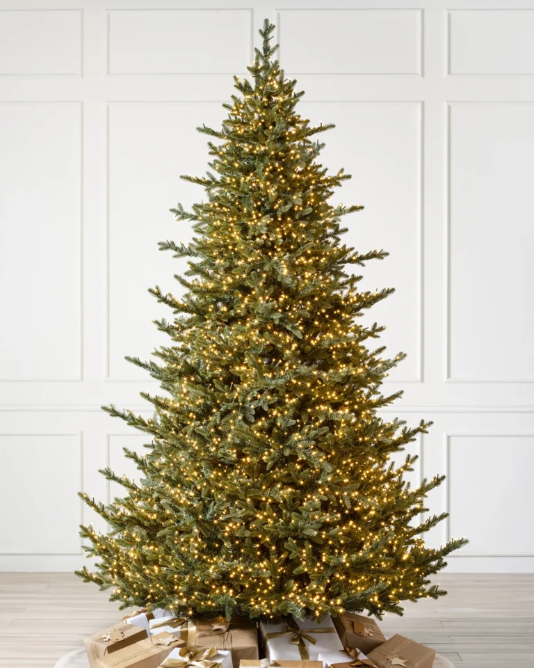 Stratton Valley Spruce