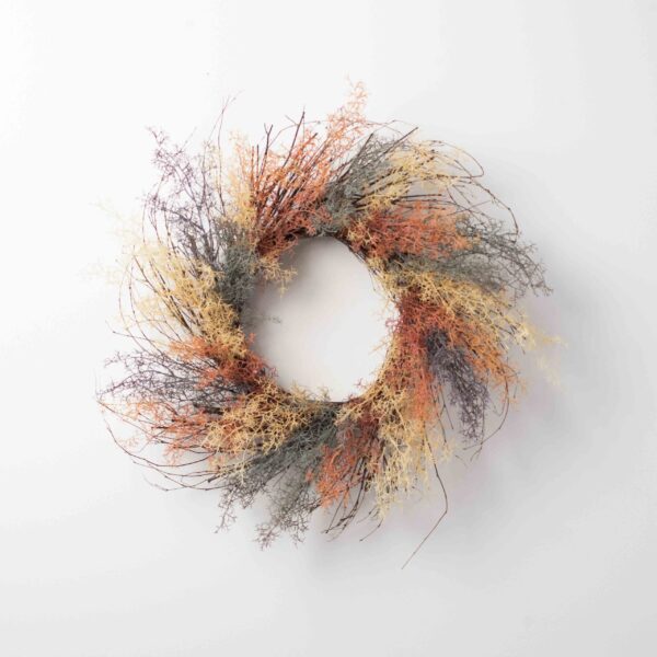 Dreamy Coral Fern On A Wispy Birch Twig Everyday Front Door Wreath - MultiColor