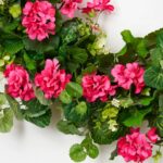 Close-up of blooms and berries on this Pink Paradise - Bright Pink Front Door Wreath