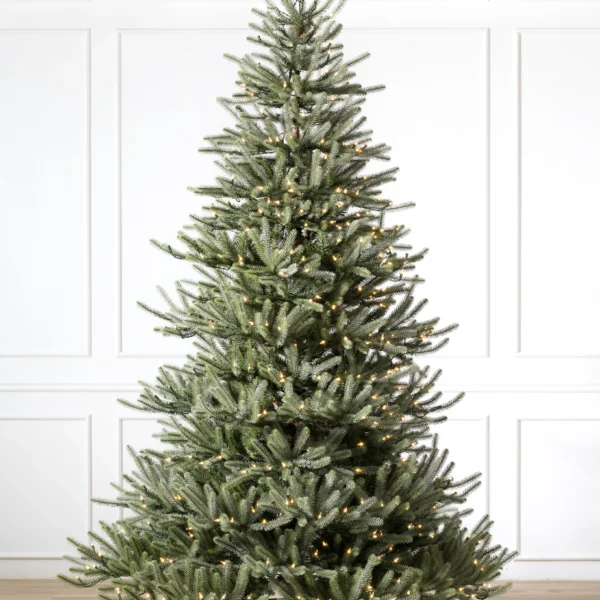 Sanibel Spruce