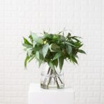 Cluster Seed and Pod Eucalyptus Branch Everyday Arrangement Centerpiece in Glass Jug Vase - Green