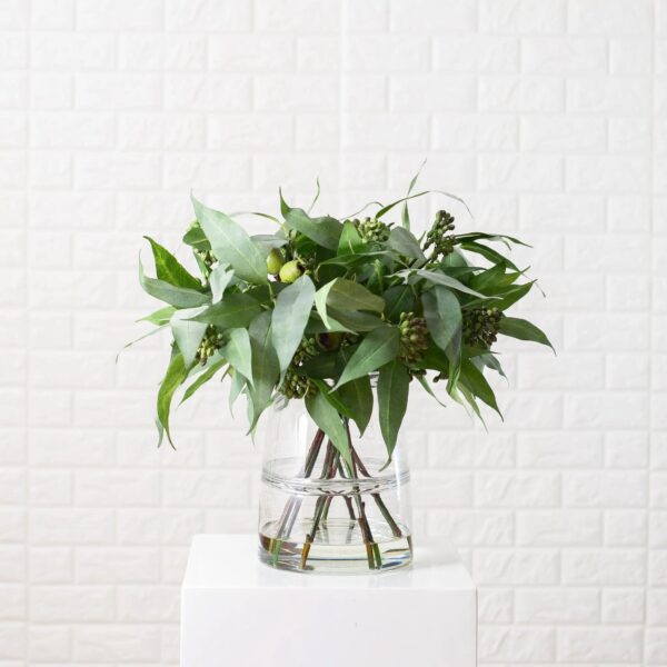 Cluster Seed and Pod Eucalyptus Branch Everyday Arrangement Centerpiece in Glass Jug Vase - Green