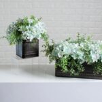 Alternate angle of the Soft Blue Hydrangea and Mixed Tin Window Planter showing full plant