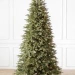 Stratford Spruce