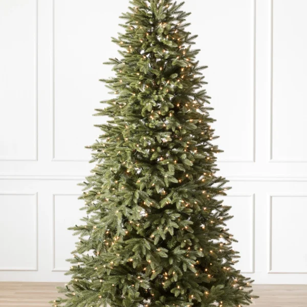 Stratford Spruce