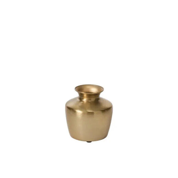 Close-up of leaf foliage texture on this Mini Gold Harrison Urn Style Gold Harrison Urn