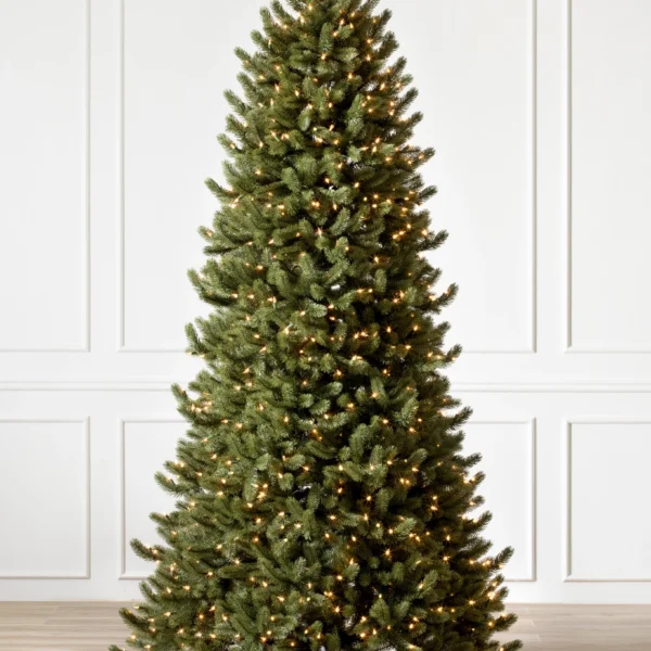 Vermont White Spruce Narrow
