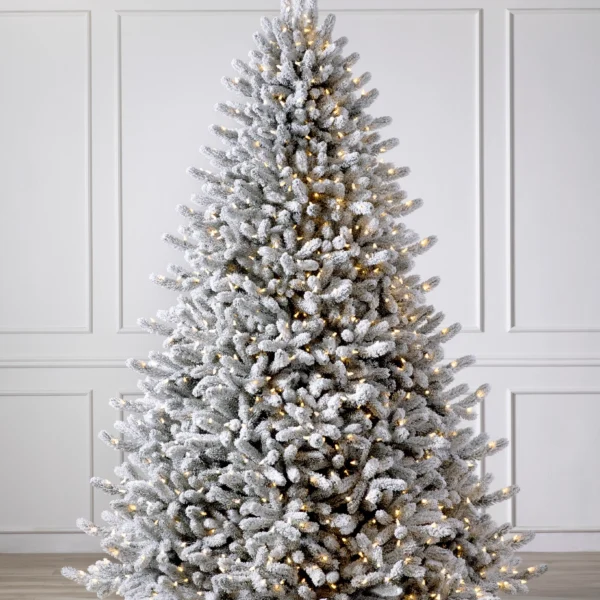 Frosted Vermont White Spruce