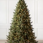 Vermont White Spruce reNEW