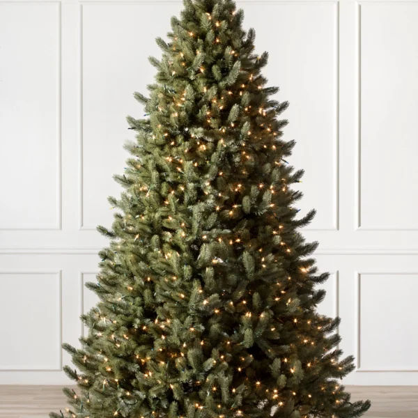 Vermont White Spruce reNEW