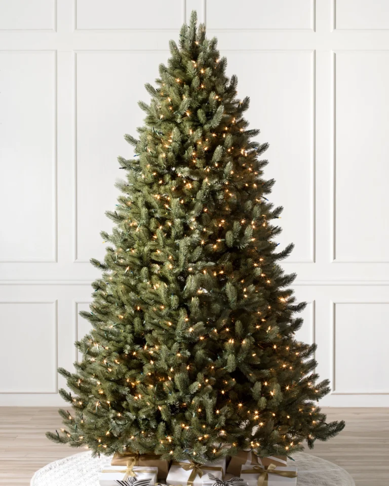 Vermont White Spruce reNEW
