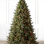 Vermont White Spruce