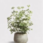 Faux Blooming Queen Anne's Lace Potted Arrangement - 46 inch
