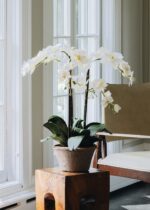 Close-up of bloom cluster detail on this Potted Faux White Orchid Arrangement - 24 inch