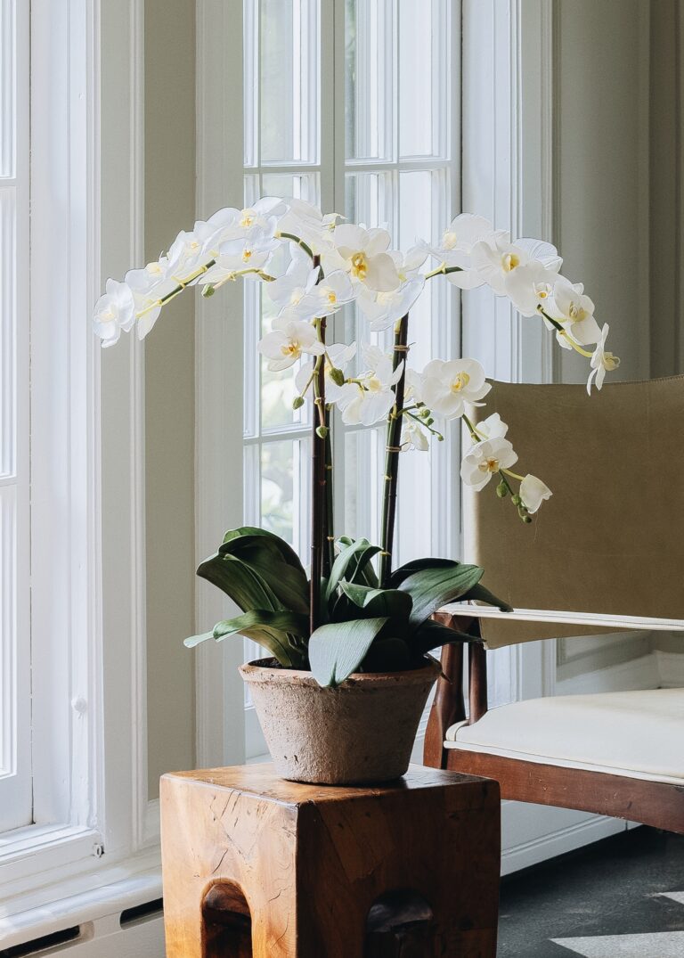 Close-up of bloom cluster detail on this Potted Faux White Orchid Arrangement - 24 inch