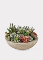 Faux Potted Plant Arrangement of Succulents - 13 inch