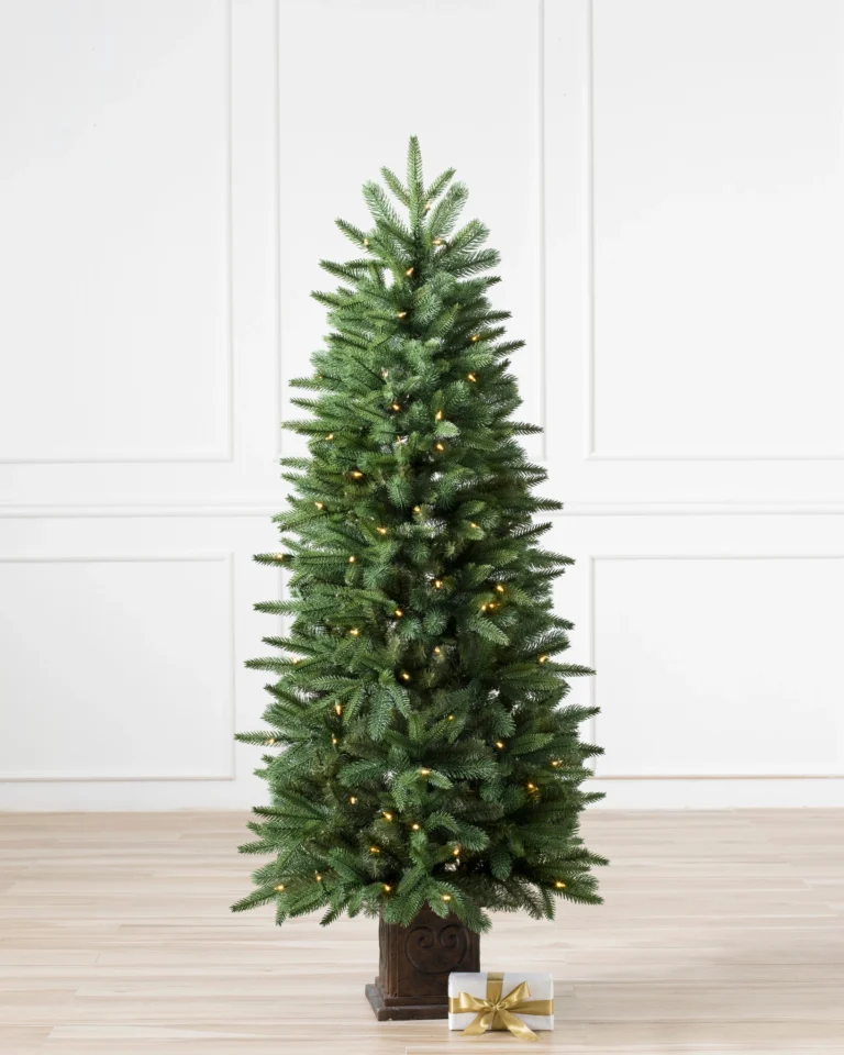 Windsor Spruce Potted Tree