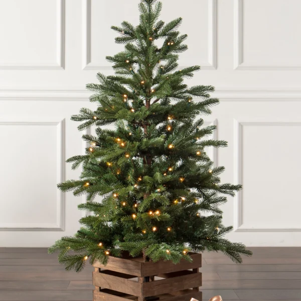 Country Farm Fir