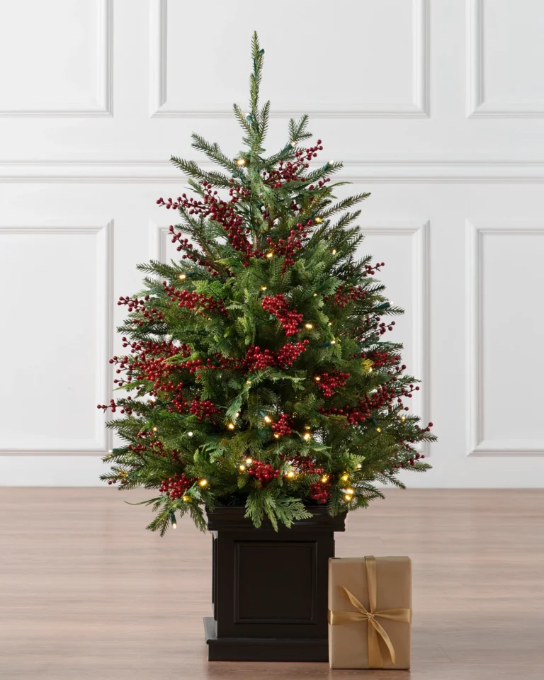 Outdoor Red Berry Evergreen Potted Tree