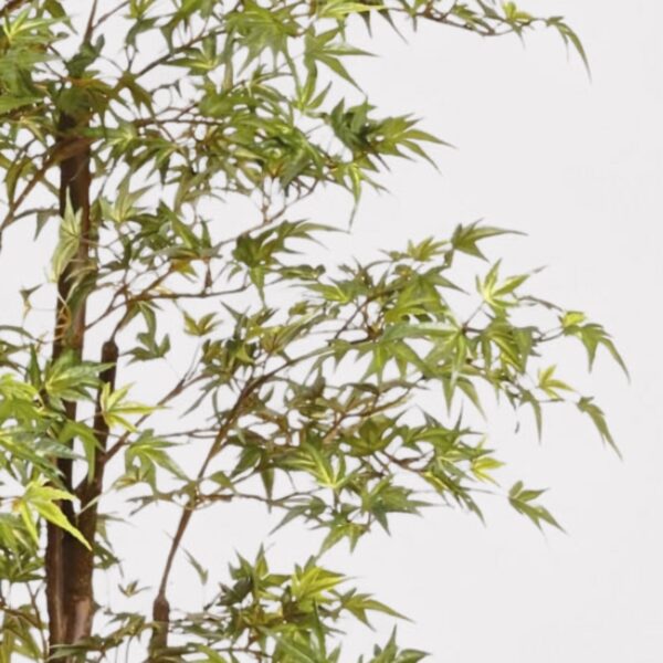 Close-up of leaf foliage texture on this Faux Potted Japanese Maple Tree Japanese Maple Tree
